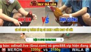 TRẬN 11 CPC5 NGÀY 19/9/2025