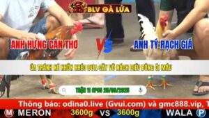 TRẬN 11 CPC5 NGÀY 25/9/2025