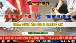 TRẬN 11 CPC5 NGÀY 30/9/2025