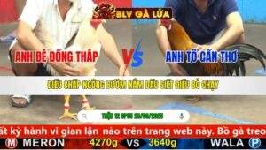 TRẬN 12 CPC5 NGÀY 28/9/2025