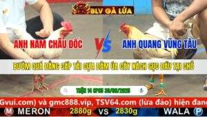 TRẬN 14 CPC5 NGÀY 30/9/2025