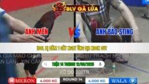 TRẬN 14 TONHON NGÀY 12/09/2025