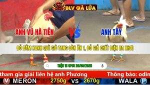 TRẬN 15 CPC5 NGÀY 28/9/2025