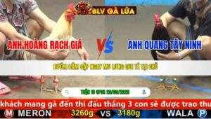 TRẬN 15 CPC5 NGÀY 29/9/2025