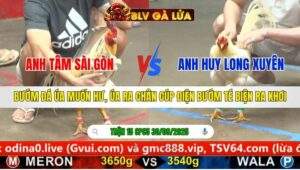 TRẬN 15 CPC5 NGÀY 30/9/2025