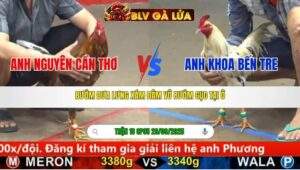 TRẬN 18 CPC5 NGÀY 29/9/2025