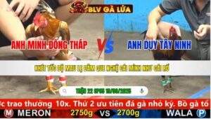 TRẬN 22 CPC5 NGÀY 19/9/2025