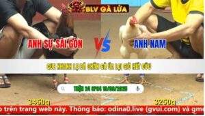 TRẬN 24 CPC4 NGÀY 19/9/2025