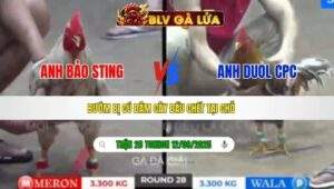 TRẬN 28 TONHON NGÀY 12/09/2025