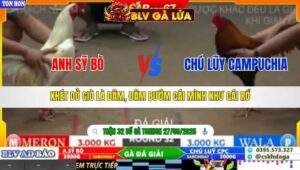 TRẬN 32 TONHON NGÀY 27/9/2025