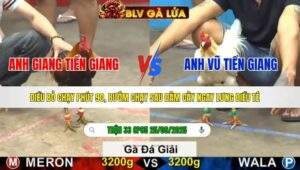 TRẬN 33 CPC5 NGÀY 25/9/2025