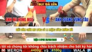 TRẬN 4 CPC5 NGÀY 25/9/2025