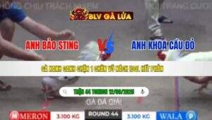 TRẬN 44 TONHON NGÀY 12/09/2025