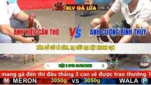 TRẬN 5 CPC5 NGÀY 30/9/2025