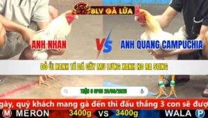 TRẬN 6 CPC5 NGÀY 28/9/2025