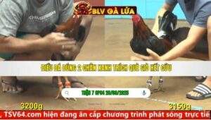 TRẬN 7 CPC4 NGÀY 28/9/2025