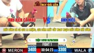 TRẬN 1 CPC6 NGÀY 14/10/2025