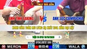 TRẬN 10 CPC3 NGÀY 18/10/2025