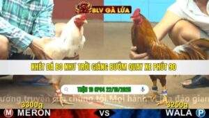 TRẬN 10 CPC4 NGÀY 22/10/2025