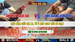 TRẬN 10 CPC5 NGÀY 22/10/2025