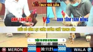 TRẬN 10 CPC6 NGÀY 6/10/2025