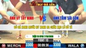 TRẬN 10 CPC6 NGÀY 7/10/2025