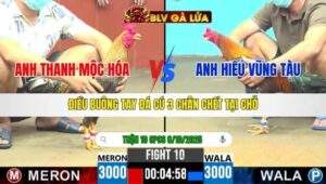 TRẬN 10 CPC6 NGÀY 8/10/2025