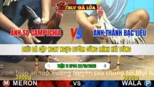 TRẬN 11 CPC4 NGÀY 22/10/2025