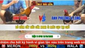 TRẬN 11 CPC5 NGÀY 12/10/2025