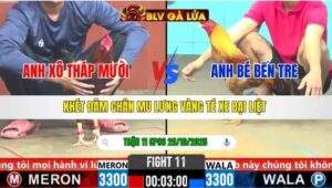 TRẬN 11 CPC6 NGÀY 28/10/2025