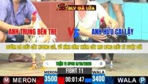 TRẬN 11 CPC6 NGÀY 8/10/2025