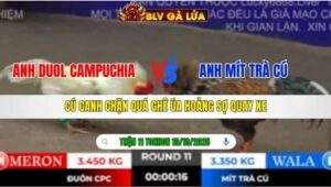 TRẬN 11 TONHON NGÀY 10/10/2025