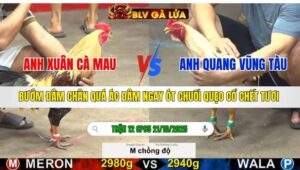 TRẬN 12 CPC5 NGÀY 21/10/2025