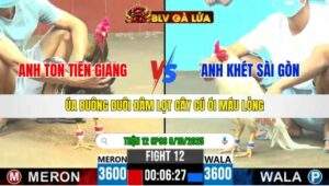 TRẬN 12 CPC6 NGÀY 8/10/2025