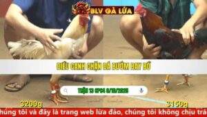 TRẬN 13 CPC4 NGÀY 6/10/2025