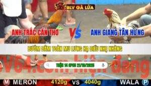 TRẬN 14 CPC5 NGÀY 21/10/2025