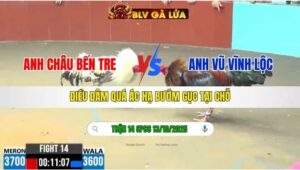 TRẬN 14 CPC6 NGÀY 13/10/2025