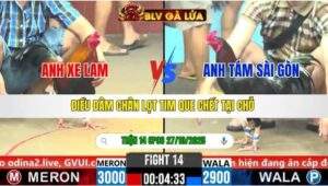 TRẬN 14 CPC6 NGÀY 27/10/2025