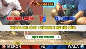 TRẬN 15 CPC4 NGÀY 23/10/2025