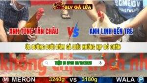 TRẬN 15 CPC5 NGÀY 19/10/2025