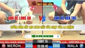 TRẬN 15 CPC6 NGÀY 28/10/2025