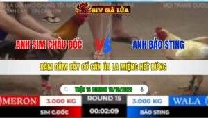 TRẬN 15 TONHON NGÀY 18/10/2025