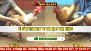 TRẬN 16 CPC4 NGÀY 13/10/2025