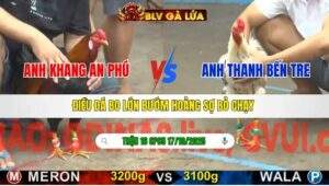 TRẬN 16 CPC5 NGÀY 17/10/2025