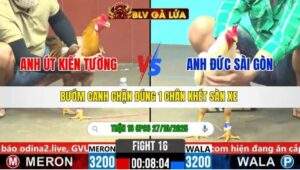 TRẬN 16 CPC6 NGÀY 27/10/2025