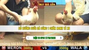 TRẬN 18 CPC4 NGÀY 17/10/2025