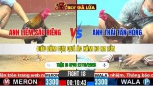 TRẬN 18 CPC6 NGÀY 27/10/2025