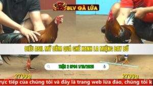 TRẬN 2 CPC4 NGÀY 1/10/2025