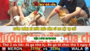 TRẬN 2 CPC5 NGÀY 30/10/2025