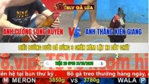 TRẬN 20 CPC5 NGÀY 31/10/2025